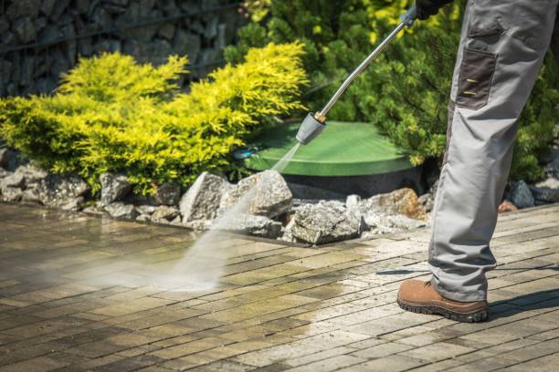 Best Spring Cleaning  in Watervliet, NY